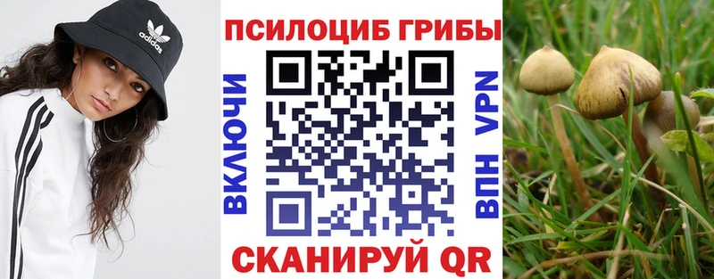 Псилоцибиновые грибы Magic Shrooms  Тайга 