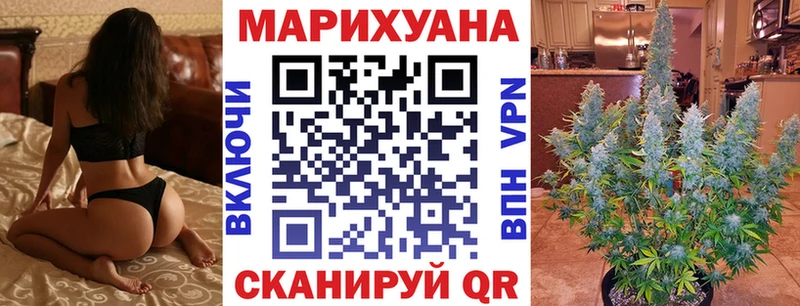 Каннабис MAZAR  Тайга 